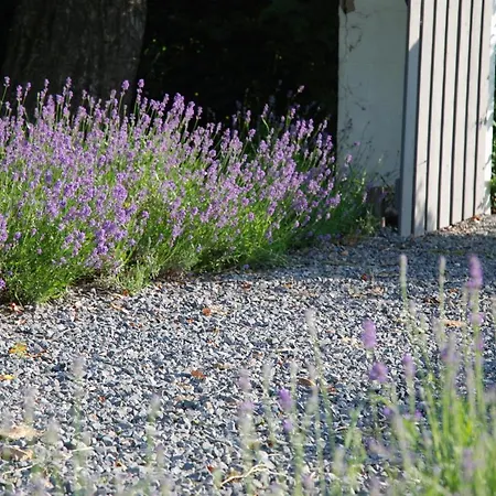 Ardennes Villa familial Casa vacanze